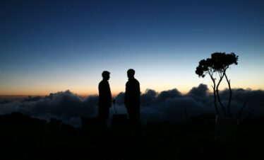 silhouette photography of two men standing near tree