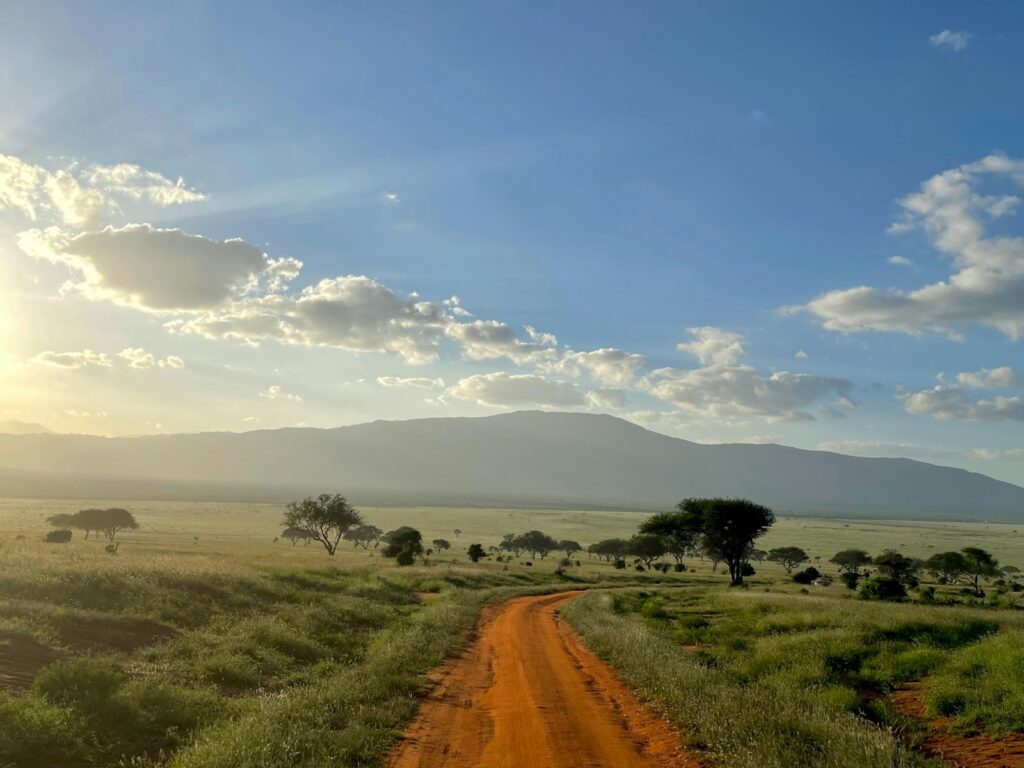 a dirt road in the middle of a field